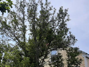 07-05