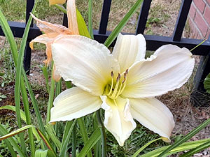 07-11