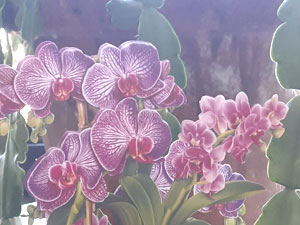 07-24