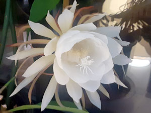 08-15