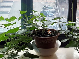 03-26
