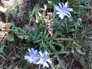 08-07