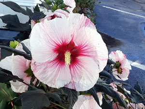 08-25