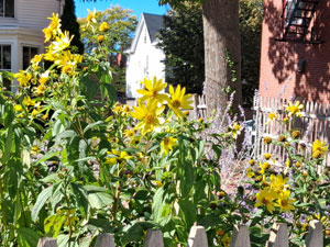 10-03